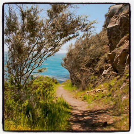 Beach Path by Ruben Briseno Reveles